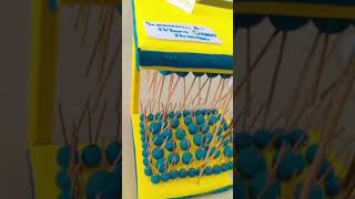 Cell Membrane Model animalcell model cellmembrane [upl. by Eolande]