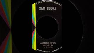 Sam Cooke wonderful world [upl. by Bodnar]