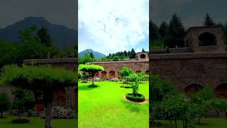 Mughal Garden  Cheshma Shahi Garden  Srinagar  Public Park Srinagar viralshort mughal [upl. by Yrnehnhoj]