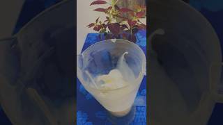 Navratri Special Protein Rich Banana Shake Complete Diet 🧋 shorts shake protein upvasrecipe [upl. by Malet]