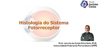 12Histologia do Sistema Fotorreceptor olho  Nível Graduação [upl. by Enala]