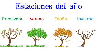 🌈 Estaciones del año 🌞  ¿Qué son  Características Fácil y Rápido  BIOLOGÍA [upl. by Ahsieyn901]