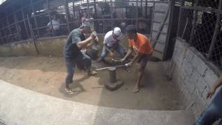 Sword Making in the Philippines by Blade Culture International [upl. by Dasi]