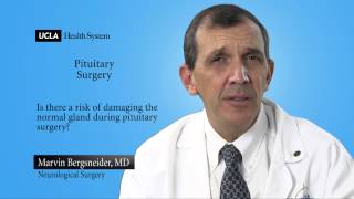 Real Questions  Pituitary Surgery  UCLA Pituitary Tumor Program [upl. by Ibson]