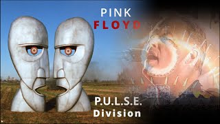 Pink Floyd  The Division Bell Live Video Album [upl. by Poul]