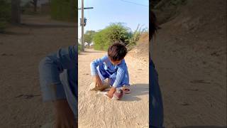 Bujbaan Kabootar ke sath asa na kiya karo 😭😘😍🕊️shorts youtubeshorts shortvideo birds [upl. by Stiegler752]