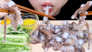 ASMR Raw Octopus 산낙지 리얼사운드 먹방 eating sound mukbang [upl. by Aleik]