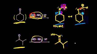 Formation of oximes and hydrazones  Aldehydes and ketones  Organic chemistry  Khan Academy [upl. by Aseeram]