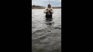 Wadefishing the key to catching trophy speckled trout [upl. by Barabas314]