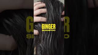 Ginger AntiDandruff Shampoo Shower [upl. by Him]