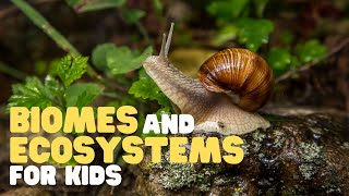 Biomes and Ecosystems for Kids  Learn about the different types of ecosystems and biomes [upl. by Waneta348]