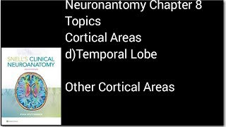 Cortical Areas of Temporal lobeneurologyneuroanatomyneurosciencesanatomymbbsmedicallectures [upl. by Eckblad]