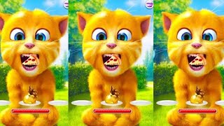 Talking ginger  cake cutting  candles fun  funn  talkingcat  talkingtom [upl. by Liban]