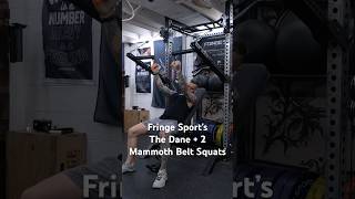 The Dane and 2 Mammoth Belt Squats is a killer combination [upl. by Anelaf]