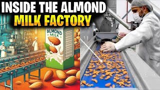 How Millions Of Almonds Are Harvested [upl. by Tallie]