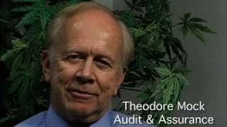 Professor Ted Mock on Audit amp Assurance [upl. by Ymer]