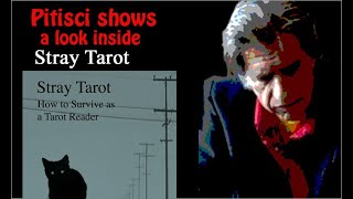 A look inside Pitiscis Stray Tarot  How to Survive as a Tarot Reader [upl. by Bronwyn622]