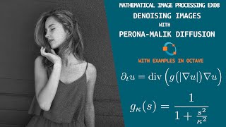 Edge Enhancing Diffusion with PeronaMalik Filtering  Mathematical Image Processing  Exercise 08 [upl. by Nnazus482]