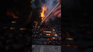 Roasting Chestnuts on an Open Fire  A Cozy Autumn Treat [upl. by Ahcim]