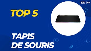 Top 5 Meilleur Tapis de Souris 2024  Les 5 Tapis de Souris Modèles [upl. by Hcra]