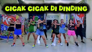 CICAK CICAK DI DINDING  TIKTOK VIRAL  CHOREO ZIN CHICIE [upl. by Hildegarde]