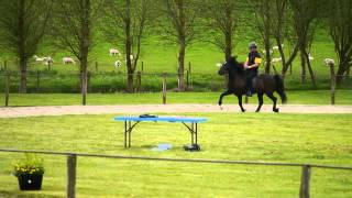 quotHe likes fast toltquot  British Icelandic Horse Championships 2015 [upl. by Huntingdon]