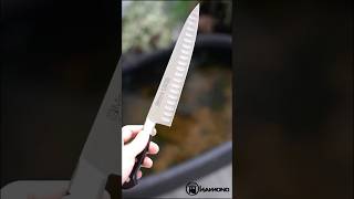 Dao Nhật Misono Gyuto 210mm UX10 Salmon kitchenknife hamono misono ux10 daonhatbai daonhat [upl. by Galloway857]