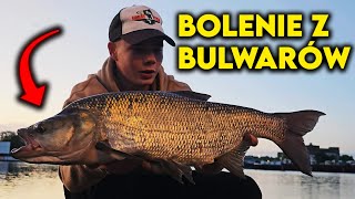 BOLENIE ZE SZCZECIŃSKICH BULWARÓW  BRAŁY JEDEN ZA DRUGIM  WĘDKARSTWO SPINNINGOWE  vlog 52 [upl. by Hollington]