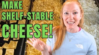 How to Freeze Dry Cheese A StepbyStep Guide for Preppers [upl. by Mcdermott]