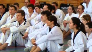 Taekwondo Youngsan Lehrgang 2015 [upl. by Noel]