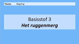 VMBO 4  Regeling  Basisstof 3 Het ruggenmerg  8e editie [upl. by Sarette979]