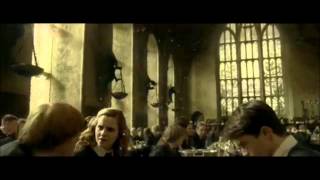 Best Ron and Hermione Scenes 17 Part 2 [upl. by Natala]