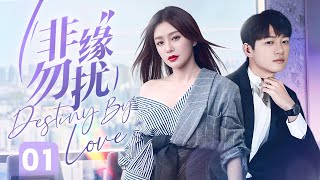 【ENG SUB】《非缘勿扰 Destiny By Love》第01集  当犀利总裁遇上毒舌御姐（秦岚、苏有朋、傅艺伟） [upl. by Deacon429]