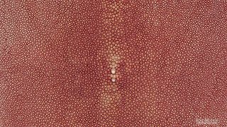 Shagreen Indian Red 9 Inch [upl. by Notsob318]