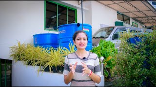 Introducing Biotech India’s mosquitofree Biogas Plant♻️ india home kitchen kerala energy [upl. by Bromley166]