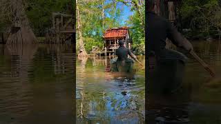 Changing of the seasons at the Pollywog Cabin pollywogcabin louisiana [upl. by Lauree138]