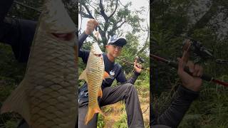 淡水溪流魚之頂級掠食者——水馬騮hampala barb 香港路亞 香港釣魚 fishing lurefishing hampalabarb [upl. by Lirrehs565]