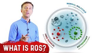 What Are Reactive Oxygen Species ROS  Dr Berg [upl. by Lyckman]