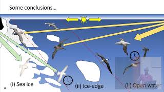 Seabird Group 2024 Conference  University of Coimbra 3 Sept 2024  Session 3 [upl. by Jedd]