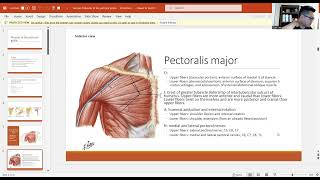 Muscles of Pectoral Girdle [upl. by Filemon]