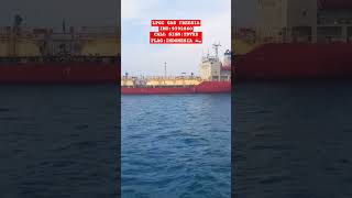 LPGC GAS FREESIA shorts youtubeshorts tankership tankerships shipspotting shipspotter [upl. by Notsua786]