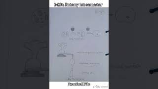 MSc Botany Practical File 1st sem  Biodiversity of Algae and Fungi  HPU botanynotes [upl. by Gaiser]