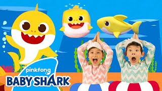 Baby Shark  Baby Shark Doo Doo Doo Dance  More Baby ChaCha Nursery Rhymes amp Kids Songs [upl. by Aihsekal]