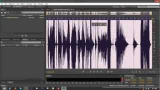 Convert Sample Type  Adobe Audition CS6 Tutorial [upl. by Islaen]