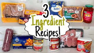 3 INGREDIENT DINNERS  5 Cheap amp Easy Meals You Only Need 3 Ingredients to Make  Julia Pacheco [upl. by Eirak]