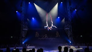 Duo Vertigo aerial straps 2024 circus Probst [upl. by Ramedlaw]