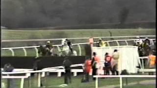 1990 Cheltenham Gold Cup Nortons Coin  Full race [upl. by Stannfield]