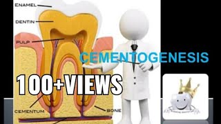 CEMENTOGENESISLEARN BY FLOW CHART  BUDDING DENTIST [upl. by Viviene]