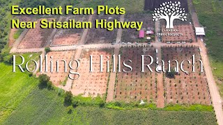 Excellent Farm Lands Near Future City Mucherla  Rolling Hills Ranch on Srisailam Highway [upl. by Newcomer]