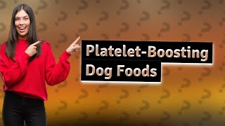 Which food increase platelets in blood in dogs [upl. by Ennaegroeg]